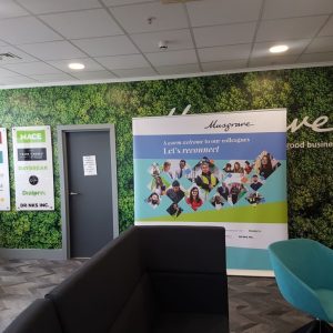3 (Digital Wall Graphics)